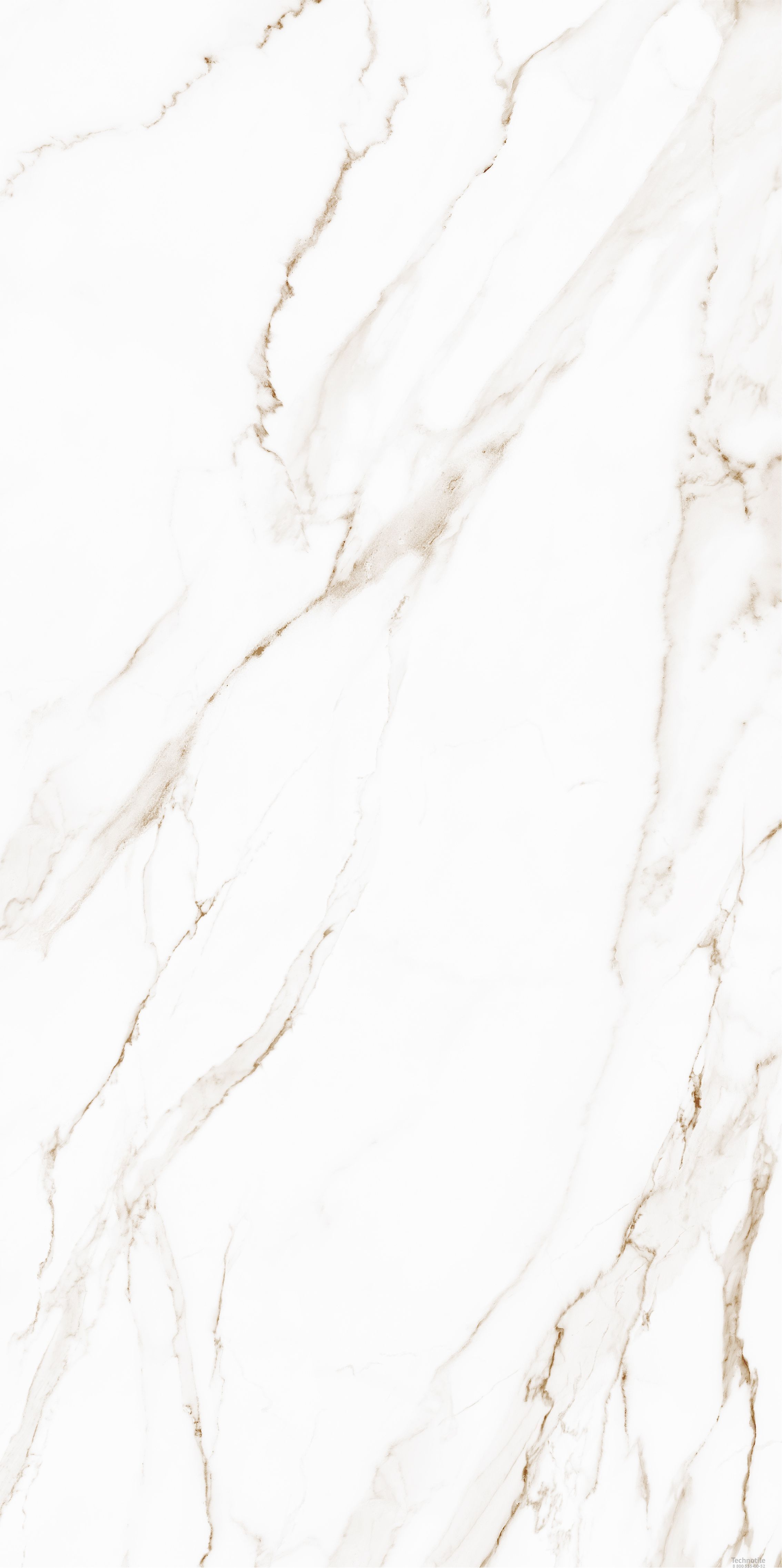 Плитка керамогранит Golden 01 White матовый