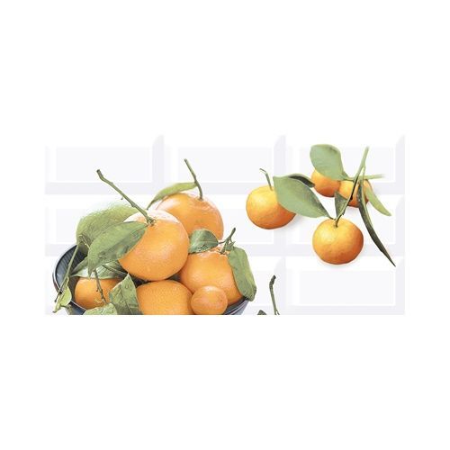 Панно керамическое Vogue 1 Citrus глянцевый