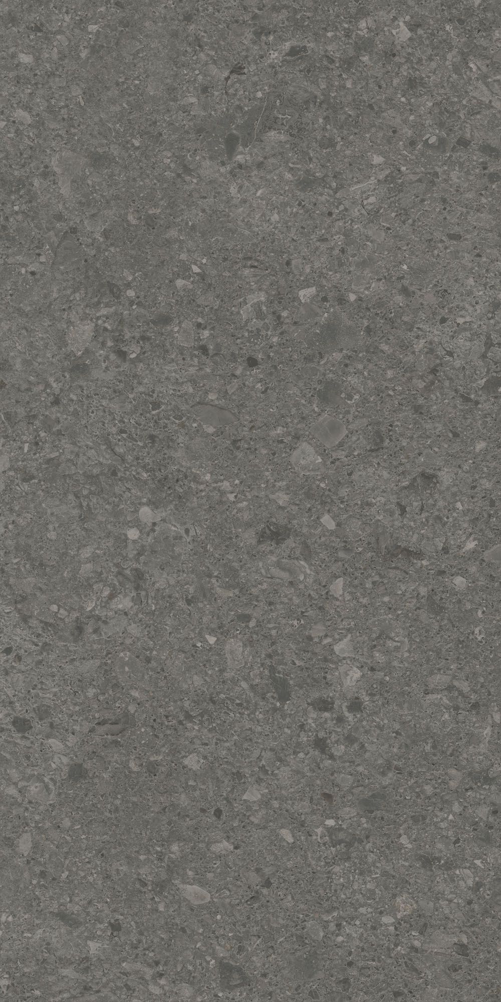 Плитка керамогранит Чеппо ди Гре DD508020R Антрацит матовый