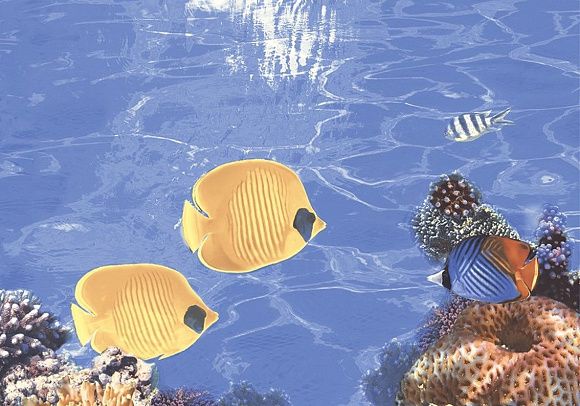 Декор керамический D1 Бригантина матовый