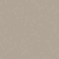 Плитка керамогранит Техногрес Профи Светло-коричневый матовый