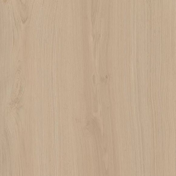 Плитка керамогранит Альберони SG643420R Светло-бежевый матовый