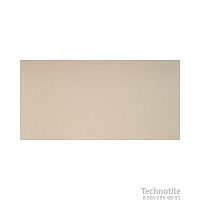 Плитка керамогранит  GT100М База матовый