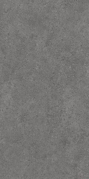 Плитка керамогранит Фондамента DL501120R Пепельный матовый
