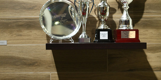 Артвуд Эстима