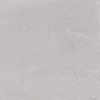 Плитка керамогранит Про Матрикс DD602020R Светло-серый матовый