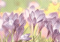 Декор керамический D2 Виола матовый