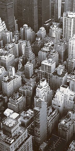 Декор керамический D Сити матовый