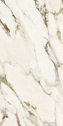 Плитка керамогранит Splendida CV20218 Calacatta Venato полированный